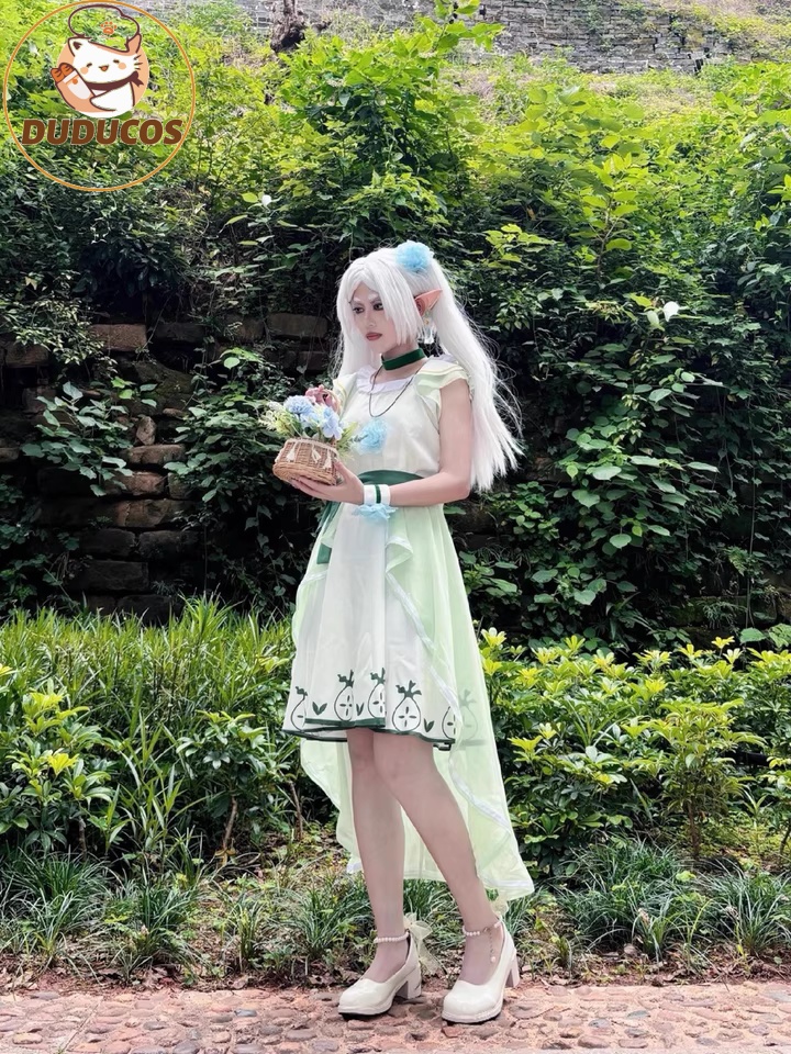 أزياء أنيمي فريرين: ما وراء نه - مراجعة Anime Cosplay Wig وسعره